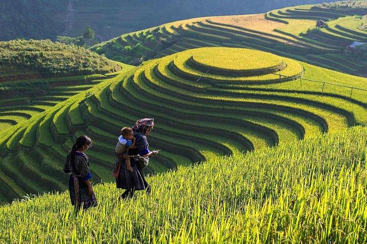 Hotspot Matrix: Văn hóa & Môi trường Làm Việc Tích Cực