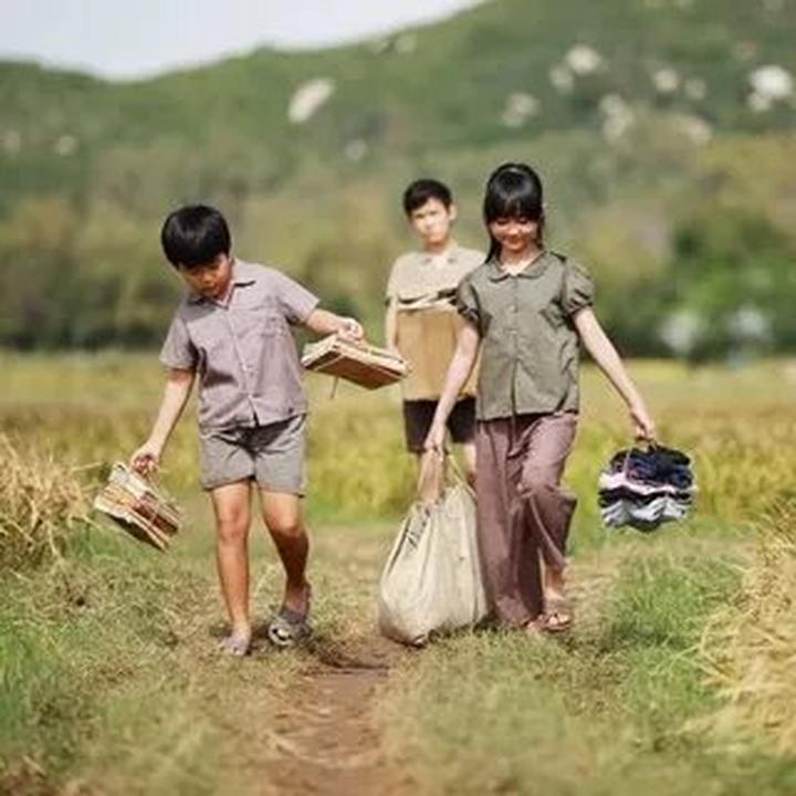 Bonobo: Nguồn Gốc Tiến Hóa Của Ngôn Ngữ Con Người?